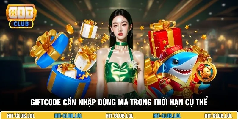 Giftcode cần nhập đúng mã trong thời hạn cụ thể