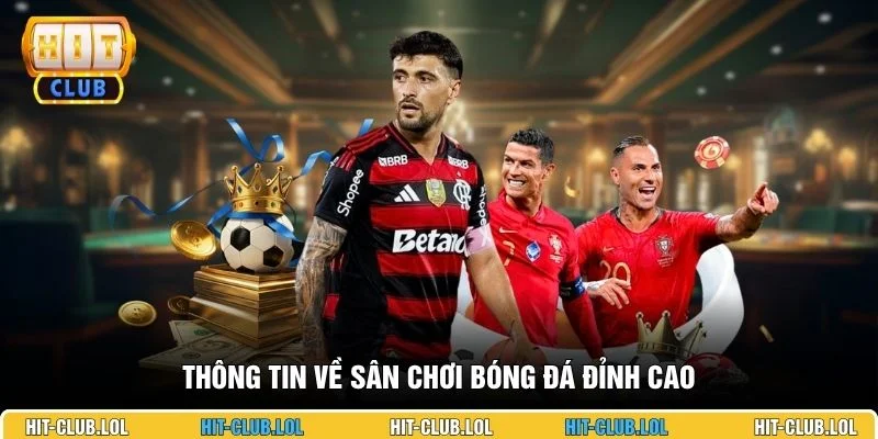 Thông tin về sân chơi bóng đá đỉnh cao